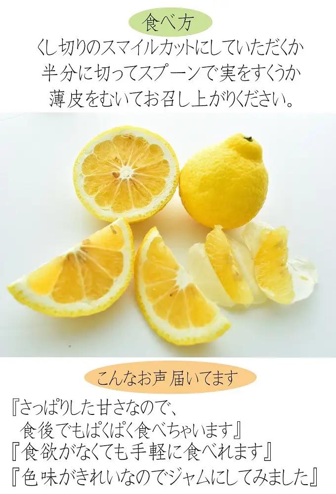 はるかみかん 6kg 訳あり はるか 和歌山県産より農家直送 フルーツ 果物 家庭用［Mg29］