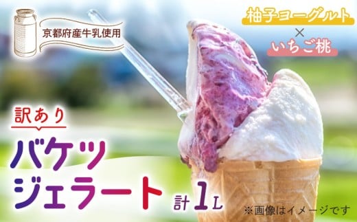 【訳あり】　特製バケツジェラート 1L 【柚子ヨーグルト×いちご桃】 2種類の味 ( ジェラート アイスクリーム アイス バケツアイス 業務用アイス 業務用ジェラート 業務用 バルク 大容量 柚子 ヨーグルト 苺 いちご 桃 もも 訳あり 野菜 果物 フルーツ デザート スイーツ 家庭用 冷凍 おすすめ きよしファーム 南丹市 南丹 京都府 京都 )