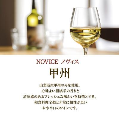 ふるさと納税 笛吹市 【無地熨斗】ワイン NOVICE 赤&白 飲み比べ 各1本 セット 日川中央葡萄酒 山梨県笛吹市 |  | 02