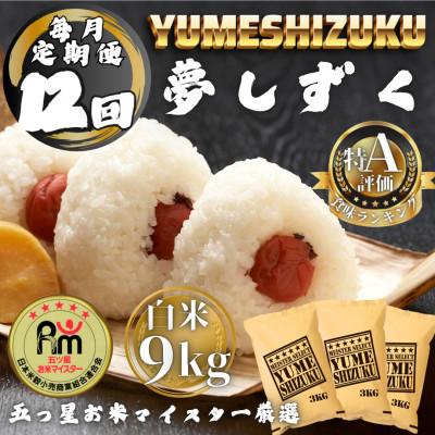 ふるさと納税 多久市 【毎月定期便】夢しずく白米9kg(3kg×3袋)(多久市)全12回