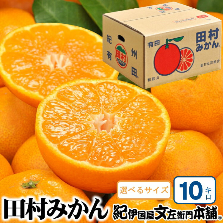 【ふるさと納税】【予約受付】田村みかん 特選ギフト品 10kg【選べるサイズ】赤秀/紀州和歌山有田郡湯浅町田村地区産 ◆2026年11月下旬～2027年1月中旬頃に順次発送予定(お届け日指定不可)　紀伊国屋文左衛門本舗 / みかん 蜜柑 くだもの フルーツ 果物 柑橘 先行予約