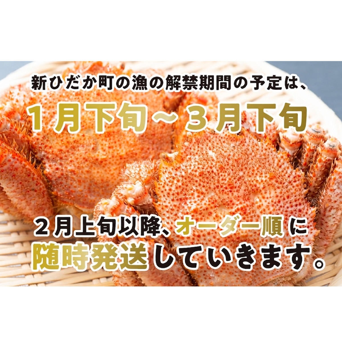 ＜2026年2月中旬から順次発送＞ 訳あり 北海道産 浜ゆで 毛ガニ 2尾 (  1尾あたり 250g ～ 300g ) 毛蟹 毛がに かに味噌 カニ味噌 新鮮 旬 ボイル 浜茹で 海鮮 海産物 わけ