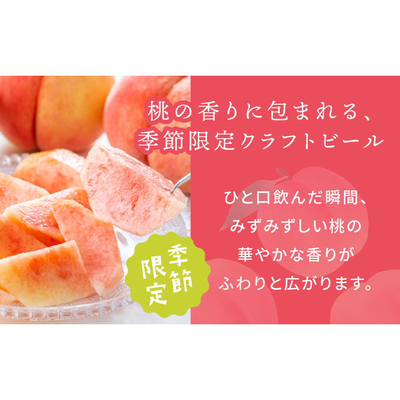 クラフトビール 桃のエール 6缶 015B701