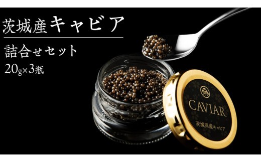 
                  キャビア 詰め合わせ セット 20g×3個 キャビア  高級食材  記念日 誕生日 世界三大珍味 国産キャビア 茨城県産 茨城 [AI001sa]
                