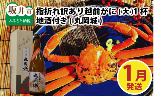【先行予約】名人が茹でる 指折れ訳あり越前がに(大)1杯 やまに仕込み 地酒(丸岡城)付き【1月発送分】 [G-4302_01]
