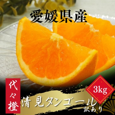 【トロッととろける果実】【訳あり】清見タンゴール 3kg【A83−32】【1623456】