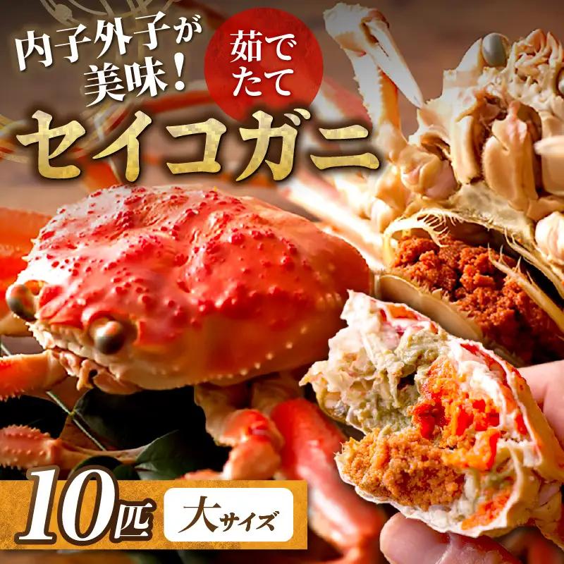 【蟹の匠 魚政】内子外子が美味! 茹でたて セイコガニ（セコ蟹）（香箱ガニ）（こっぺ）大サイズ 10匹セット