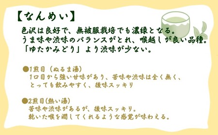 【 R8年産 】種子島 射場貴大 茶園 「さえみどり」 「あさつゆ」 「なんめい」 「やぶきた」 茶ツウ が 喜ぶ 単品 味わい セット　NFN573【300pt】// 日本茶 緑茶 希少品種 お茶 