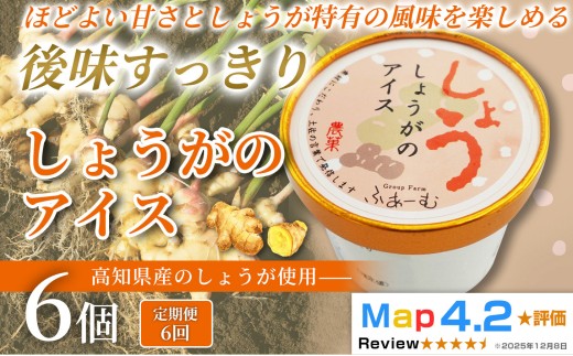 しょうがのアイス 36個 100ml × 6個 6回定期便 アイスクリーム 人気  おやつ お菓子 アイスクリーム ファミリー おすすめ ご当地アイス アイス 高知県 生姜 しょうが 健康 フレーバー スイーツ デザート ヘルシー  手作り 話題 ユニーク 変わり種 ホームパーティー おもてなし 詰め合わせ 贈り物 贈答 ギフト プレゼント リピート ジェラート 安芸市 高知県