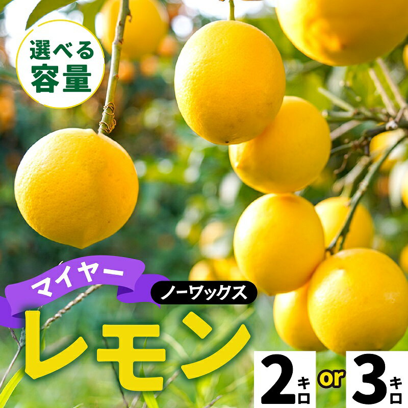 【ふるさと納税】【先行予約】淡路島産 マイヤーレモン 2kg / 3kg 国産レモン 淡路島 瀬戸内レモン 檸檬 lemon 柑橘 レモネード レモンサワー【 2025年10月中旬より順次発送 】