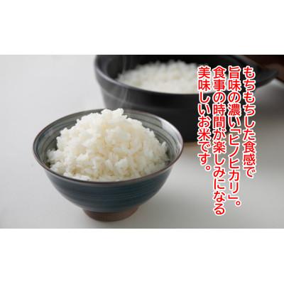 ふるさと納税 本山町 早期予約　★令和7年産新米★　土佐天空の郷　ヒノヒカリ5kg |  | 03