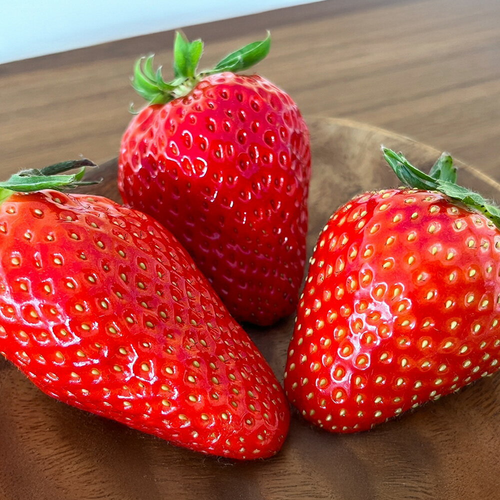 【ふるさと納税】【第2回全国いちご選手権にて全国トップ10入り】贈答用 プレミアム苺 美しの香 3種 セット＜選べる＞ 1粒入り×3箱 or 6粒入り×1箱 苺 いちご フルーツ 果物 デザート おやつ 岡山県 送料無料 【2025年1月上旬～2月下旬発送予定】