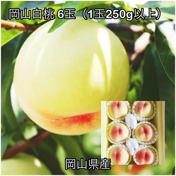 岡山県産 岡山白桃 6玉(1玉250g以上)化粧箱入り
