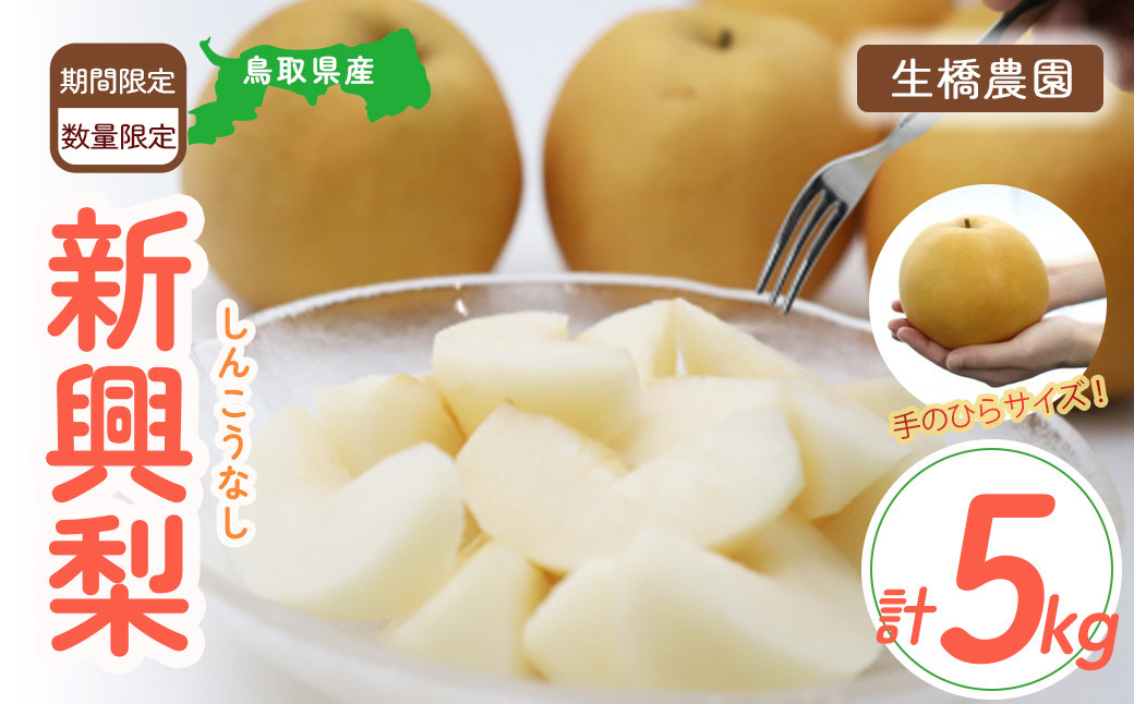 
                  新興梨【鳥取県産】5kg（生橋農園） 梨 鳥取 果物 フルーツ 和梨 先行予約 数量限定 人気 甘い 赤梨
                