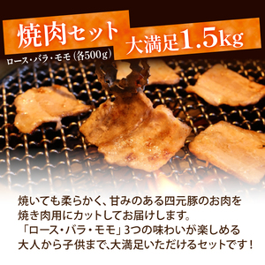 国産 四元豚 焼肉 セット 真空パック 総量 1500g ／ ありすぽーく 豚 肉 豚肉 ロース 豚ロース バラ 豚バラ モモ 豚モモ 各 500g ５００ｇ 3種類 ３種類 総量 1.5kg １５０