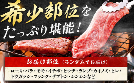 艶さし！【A4～A5】希少部位!佐賀牛おまかせ焼肉6種盛りセット 吉野ヶ里町/株式会社MEAT PLUS[FDB078]
