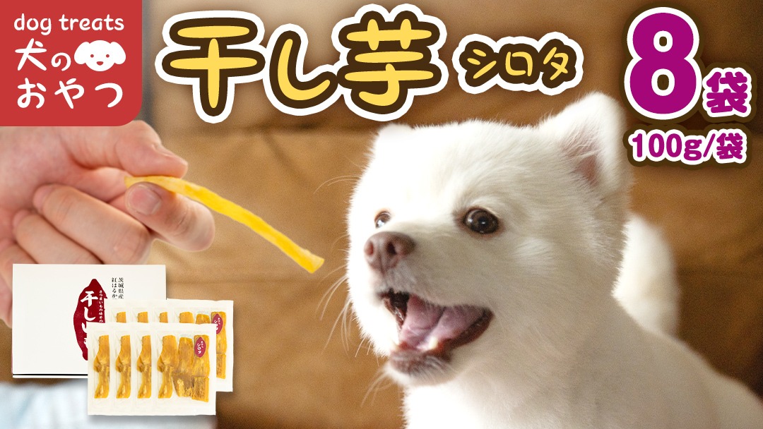 犬のおやつ 国産 干し芋 シロタ 800g (100g × 8袋) 2026年6月発送開始 保存料不使用 訳ありドックフード 国産手作り さつまいも 人気 少量 個包装 栄養 効能 犬 わんちゃん 訳あり小袋 ドックフード 小分け マツコの知らない世界 [EA17-NT]