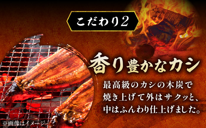 【12回定期便】 国産 うなぎ 本格炭火焼 蒲焼 特大 1尾（180g）/炭火焼古賀 [UDH012] 手焼き 冷凍 ウナギ 鰻 蒲焼き かば焼き