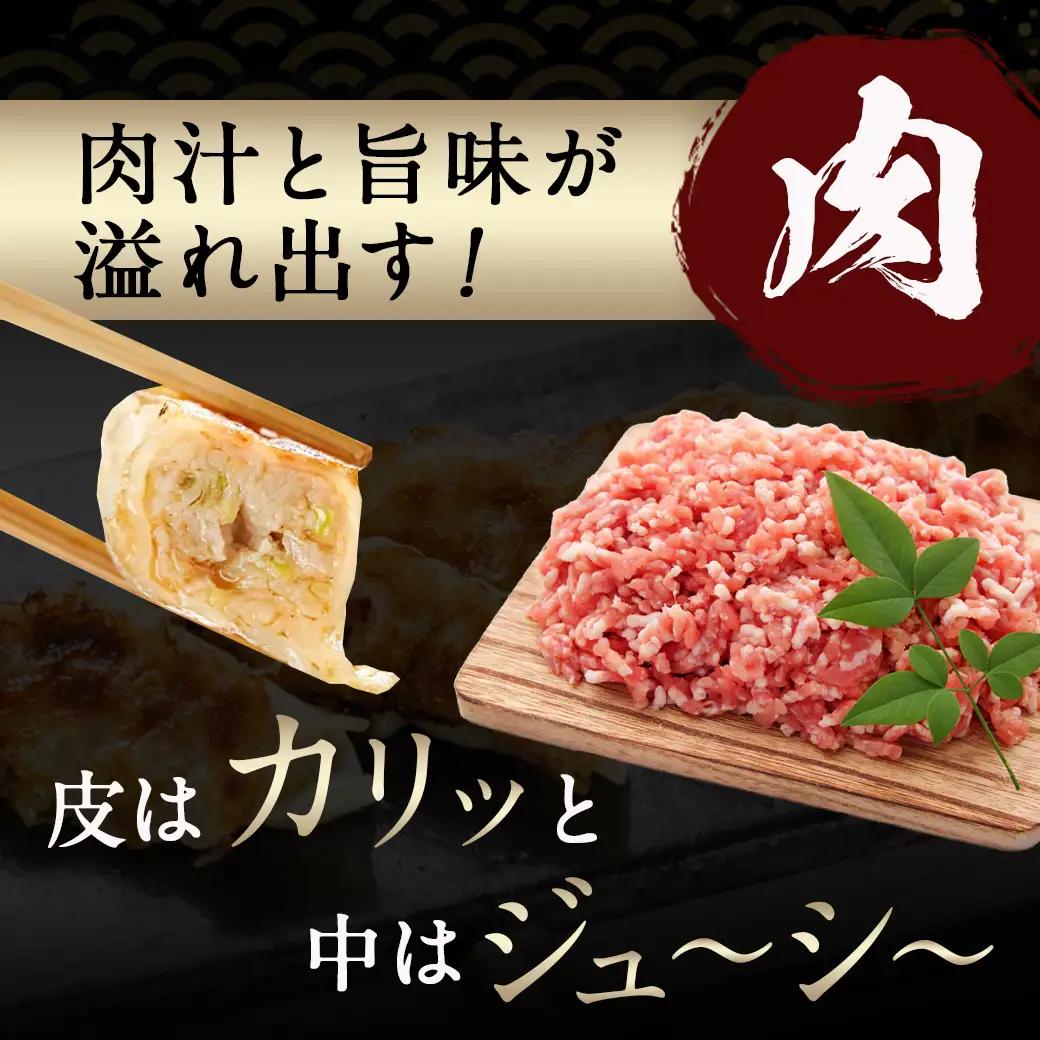 旨味が溢れ出す☆手づくり餃子(肉・海老)80個入り_AA-5403_(都城市) 宮崎餃子 餃子 肉 海老 80個 手づくり [AA-5403]