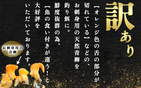 岬だよりの＜訳あり＞青柳釣り餌用 220g×10袋セット