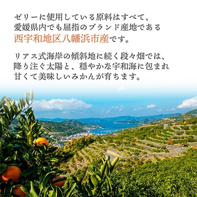 【発送月固定定期便】みかん寒天ゼリー定期便〜毎月1品種10本 全12回【H25−147】【4012160】