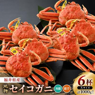 ふるさと納税 美浜町 全て地物!冬の味覚　旬の大セイコガニ(湯がきたて)