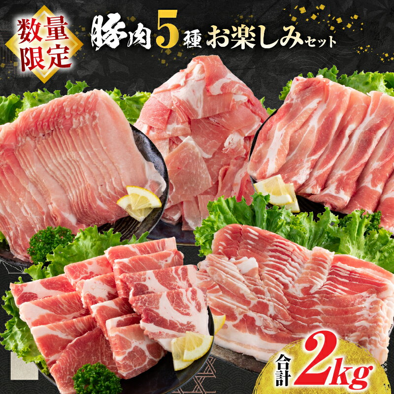 【ふるさと納税】数量限定 豚肉 5種 お楽しみ セット 合計2kg 肉 豚 国産 おかず 食品 小分け 焼肉 しゃぶしゃぶ ロース 豚バラ 肩ロース モモ スライス こま切れ 豚しゃぶ 豚丼 詰め合わせ おすすめ 人気 お弁当 おつまみ 普段使い 冷凍 ミヤチク 宮崎県 日南市 送料無料