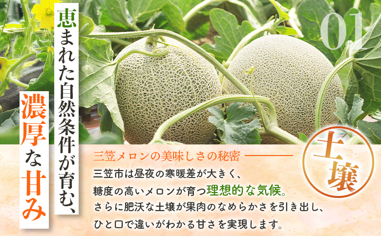 《2026年分受付中》とろける食感と甘い香り北海道三笠メロン2玉入（2.6kg以上）【0100103】