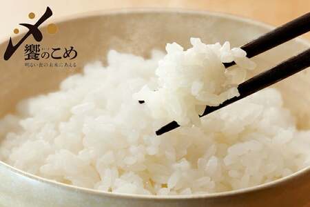 【期間限定発送】 米 令和7年 ひゃくまん穀 精米 5kg [中橋商事 石川県 宝達志水町 38601147]