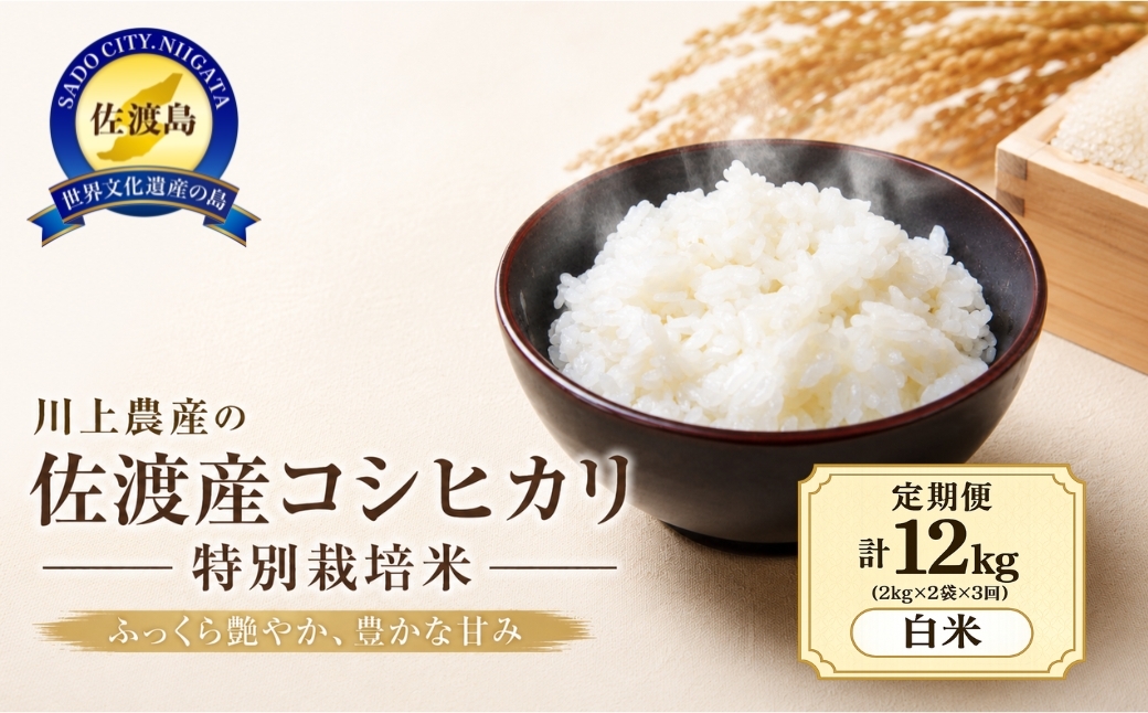 
                  【3か月定期便 コシヒカリ】令和7年産 佐渡産コシヒカリ 合計12kg（2kg×2袋×全3回）川上農産 | 新潟県産コシヒカリ 新潟産コシヒカリ 佐渡島産コシヒカリ 新潟県産こしひかり 佐渡産こしひかり お米 米 こしひかり 白米 精米 おこめ コメ 2キロ 定期便 にいがた さど 新潟県 佐渡市
                