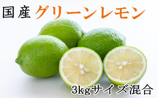 【産直】和歌山産グリーンレモン約3kg（サイズ混合）※2026年10月中旬～2026年11月上旬頃に順次発送【tec506A】