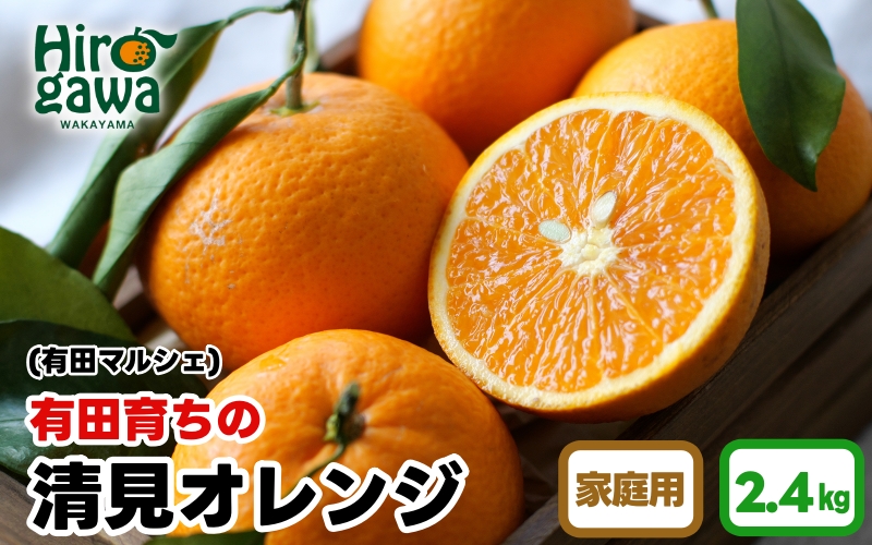 【先行予約】 【産地直送】 有田 育ちの ご家庭用 完熟 清見 オレンジ 2.4kg+100g(補償分) / みかん 甘い オレンジ フルーツ 果物 有田 和歌山 ※2026年2月下旬～2026年3月下旬に順次発送 ※北海道・沖縄・離島への配送不可 【ard011-c-2d4】