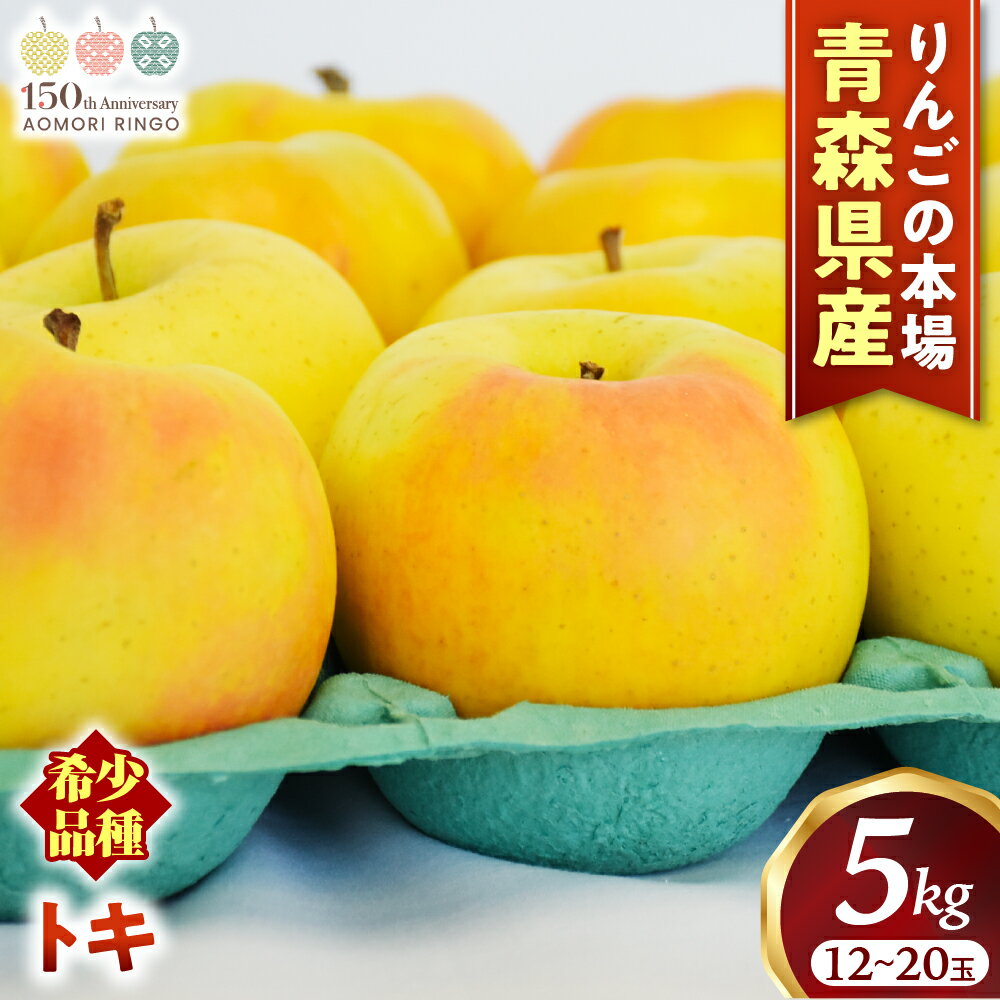 【ふるさと納税】青森りんご【トキ】約5kg（12〜20玉）【2025年産・先行予約】★2025年9月下旬〜11月上旬頃まで発送予定★りんご 林檎 リンゴ 国産 トキ 希少 フルーツ 果物 贈答 土産 青森県 三戸町 R0316