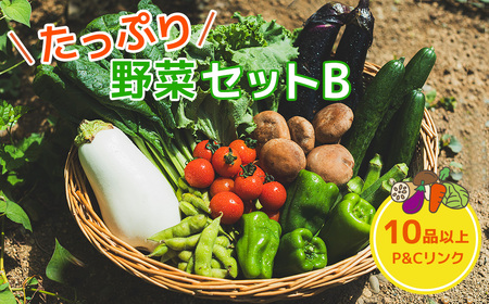 たっぷり 野菜セットB 10品 以上 季節 旬 野菜 詰め合わせ 春野菜 夏野菜 秋野菜 きのこ 葉物 果物 果菜 根菜 冷蔵 野菜室 ダイエット 食 栄養食 加工品 カット野菜 岩手県産 北上産 季節限定 稀少 数量限定 山菜 ブロッコリー たまねぎ さつまいも とうもろこし サラダ トマト しいたけ アスパラガス 岩手県 北上市 C0502 P＆Cリンク
