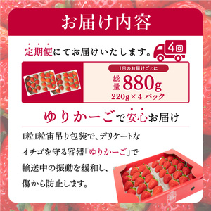 さがほのか 880g (220g×4p)