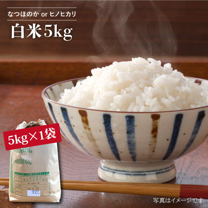 【ふるさと納税】 【令和7年産 新米】 白米 （ なつほのか or ヒノヒカリ ） 5kg ＜夢農園 モリピー＞ [CEJ001] 米 白米 ひのひかり ヒノヒカリ なつほのか ご飯 5kg 数量限定