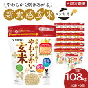 【ふるさと納税】玄米 定期便 6ヶ月 18kg（900g×20袋） 富山県産コシヒカリ 白米と同じように炊けるやわらかい玄米 安心安全なヤマトライス