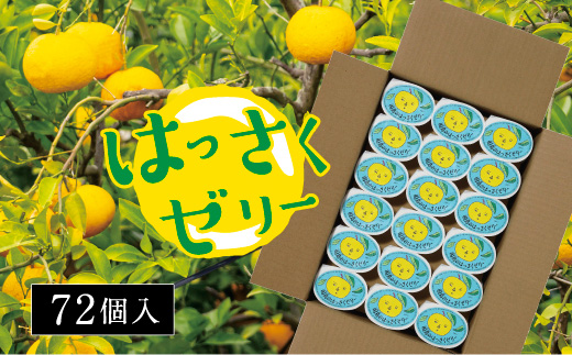 因島のはっさくゼリー72個入り