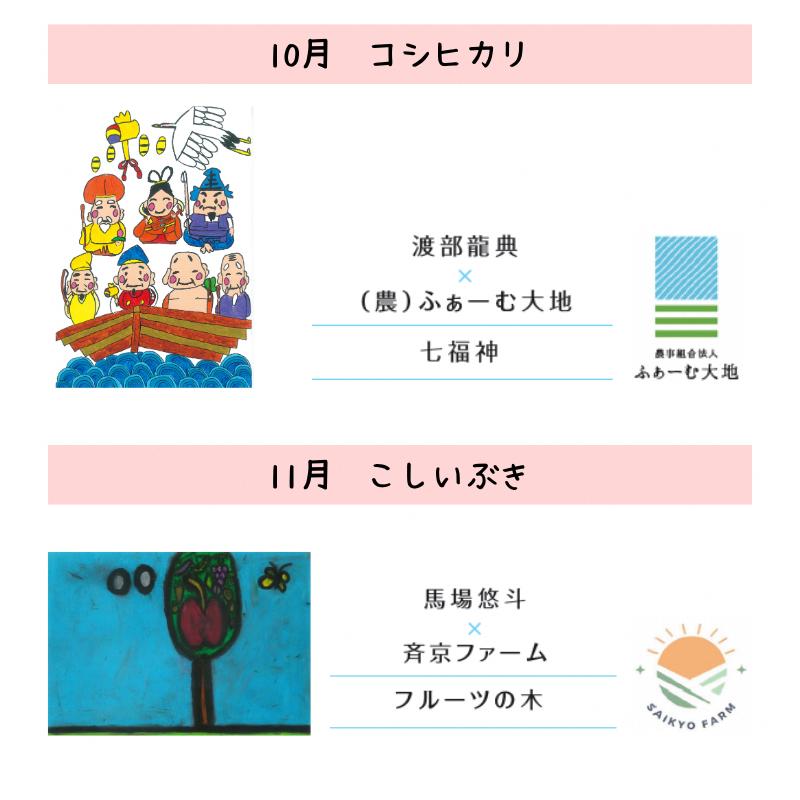 令和7年産 新潟県産 米 5kg 食べ比べ コシヒカリ こしいぶき 新之助 つきあかり みずほの輝き 先行予約 定期便 新米 アール・ブリュット アート 上越市 上越産 おすすめ 限定
