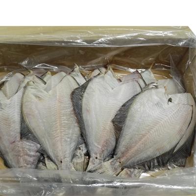 ふるさと納税 根室市 【北海道根室産】根室海鮮市場＜直送＞一夜干し浅羽かれい20枚 A-28059 |  | 02
