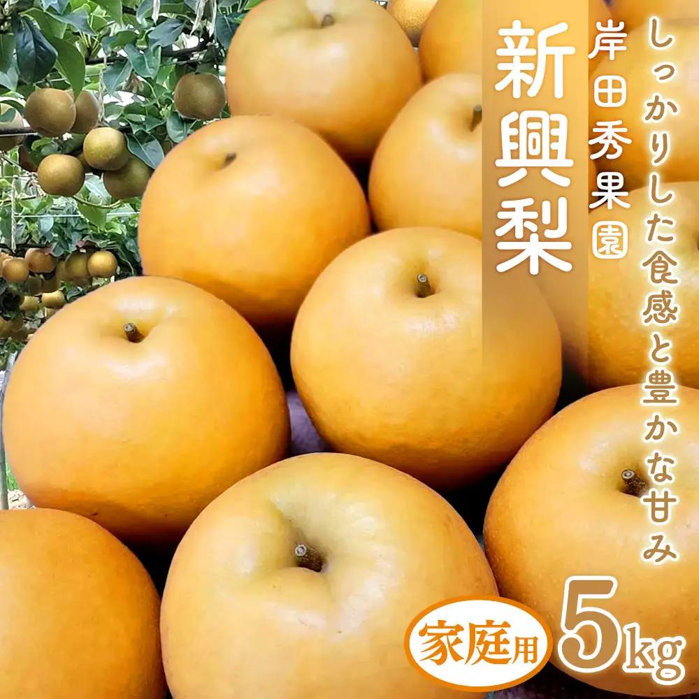 梨 岸田秀果園 新興梨 (自家用)5kg 10月頃お届け