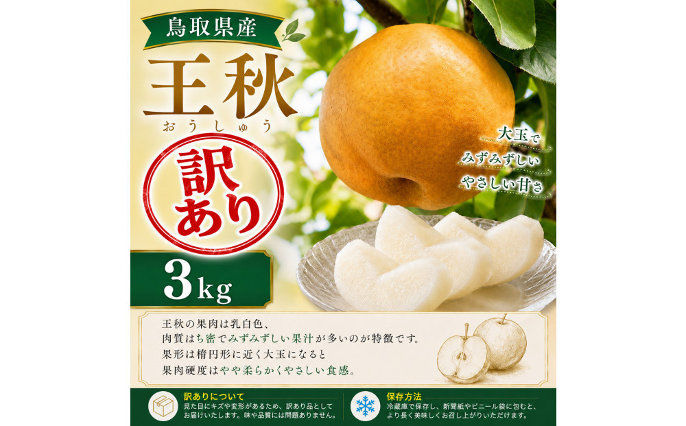 【訳あり】山根農園 王秋 3kg【2026年10月以降発送】 313726_CY019