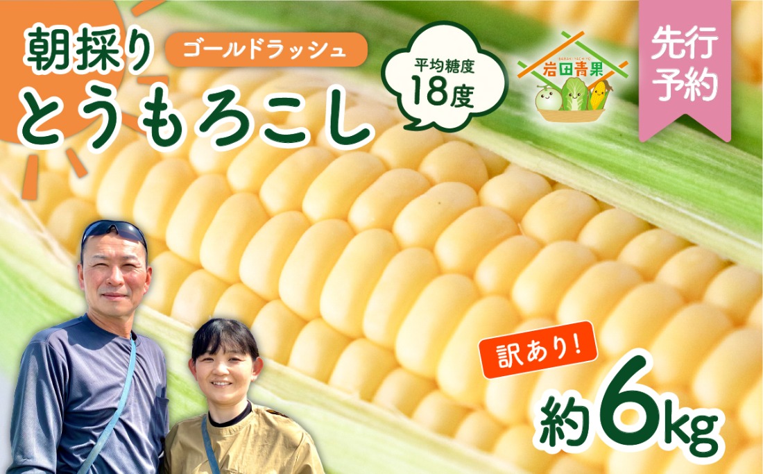【先行予約 2026年6月中旬以降発送 】【 令和8年産 】【 訳あり 】 朝採り とうもろこし （ ゴールドラッシュ ） 約 6kg トウモロコシ スイートコーン コーン 野菜 産地直送 期間限定 岩田さん 昼めし旅 [AX021ya]