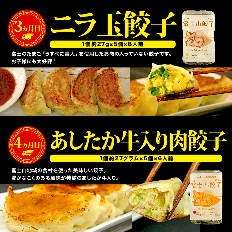 【定期便 6ヶ月 】餃子 半年コース 6回 肉 野菜 ニラ玉 あしたか 牛 とりキクラゲ しいたけ にんにく 冷凍 簡単 フライパン 調理