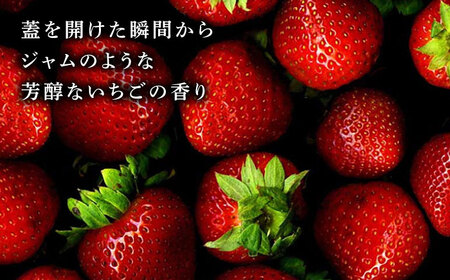 【6回定期便】高級 いちご 100％ワイン Giftfromthe Earth -大地からの贈り物- オーガニック【伊藤農園】  いちご 苺 熊本県 特産品 有機 お酒 オーガニックワイン [ZBB0