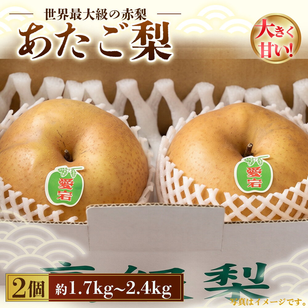 【ふるさと納税】のの山農園「あたご梨」 ／ あたご梨 梨 なし 赤梨 大玉 果物 フルーツ 2個入り 産地直送 旬 甘み みずみずしい 食感 No.067
