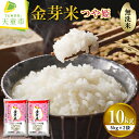 【ふるさと納税】＼受付開始／ 金芽米 つや姫 10kg 5kg×2袋 令和6年産 新米 米 コメ こめ おこめ お米 BG 無洗米 ブランド米 カロリーオフ ごはん 白米 ご飯 おにぎり 弁当 おすそ分け 5kg 袋 小分け むせんまい 食品 送料無料 【 山形県 天童市 】