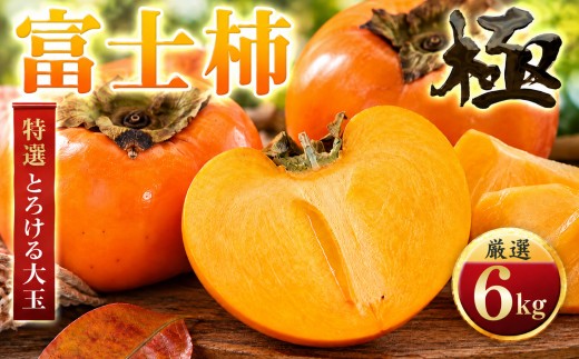 【先行受付】【年内発送!】肉厚濃蜜 富士柿6kg愛媛県産【E49-105】ふるさと納税 柿 かき 富士柿 フルーツ カキ 果物  2.5kg 3.5kg 6kg 12kg 愛媛県 八幡浜市【1741178】 YWTZ098
