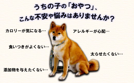 【定期便12回】ペットフード 馬刺し ジャーキー 100g ( 50g × 2パック )×12回 配送