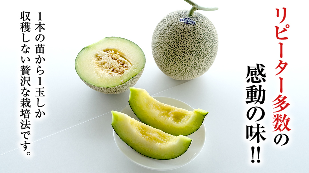 【2025年8月下旬発送開始】 季節 限定 ！ 甘さ満点 特大 アールスメロン 1個 果物 フルーツ 農家直送 産直 青肉メロン 特産品 マスクメロン メロン くだもの 茨城 [BC005sa]